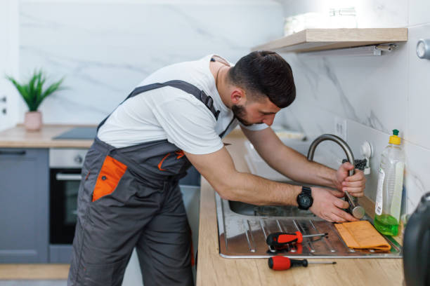  Williams, AZ Plumbing Pros