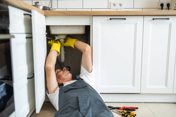 Best Water Softener Installation  in Williams, AZ